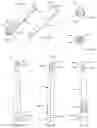 Fig. 07 - ELECTRICAL BODY CARE BRUSH