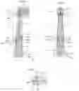 Fig. 10 - ELECTRICAL BODY CARE BRUSH