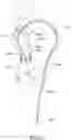 Fig. 13 - DEPLOYABLE AND RETRACTABLE ANCHOR