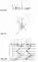 Fig. 10 - Artificial vascular graft and method for making same