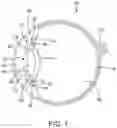 Fig. 02 - Intraocular lens and method of constructing the same