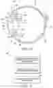 Fig. 10 - Intraocular lens and method of constructing the same