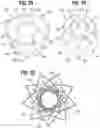 Fig. 15 - Percutaneous mitral valve replacement device