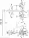 Fig. 05 - Prosthetic valve with atrial arms