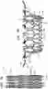 Fig. 13 - Prosthetic valve with atrial arms