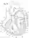 Fig. 11 - Method for converting an annuloplasty ring in vivo