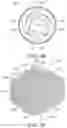Fig. 05 - Coiled implants and systems and methods of use thereof