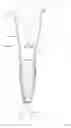 Fig. 04 - Prosthesis cosmetic element, and system consisting of prosthesis cosmetic element and prosthesis