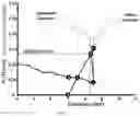 Fig. 03 - Radially rigid and longitudinally flexible multi-element intravascular stent