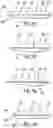 Fig. 10 - METHOD AND APPARATUS FOR STENTING