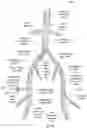 Fig. 16 - Apparatus and method for improved access of procedural catheter in tortuous vessels