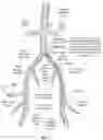 Fig. 19 - Apparatus and method for improved access of procedural catheter in tortuous vessels