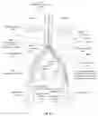 Fig. 26 - Apparatus and method for improved access of procedural catheter in tortuous vessels
