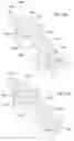 Fig. 26 - IMPLANT DELIVERY DEVICES, SYSTEMS, AND METHODS