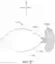 Fig. 28 - OCULAR INSERT APPARATUS AND METHODS