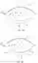 Fig. 37 - OCULAR INSERT APPARATUS AND METHODS
