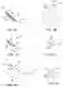 Fig. 41 - OCULAR INSERT APPARATUS AND METHODS