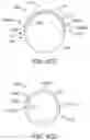Fig. 43 - OCULAR INSERT APPARATUS AND METHODS