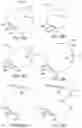 Fig. 47 - OCULAR INSERT APPARATUS AND METHODS