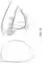 Fig. 70 - OCULAR INSERT APPARATUS AND METHODS