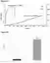 Fig. 06 - Negative Pressure Enhanced Cellular Infiltration