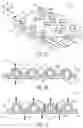 Fig. 16 - Absorbent article with an exudate management layer