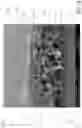 Fig. 17 - Absorbent article with an exudate management layer