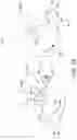 Fig. 15 - Absorbent article with a fluid entangled body facing material including a plurality of projections