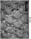Fig. 30 - Absorbent article with a fluid entangled body facing material including a plurality of projections