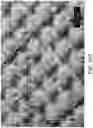 Fig. 31 - Absorbent article with a fluid entangled body facing material including a plurality of projections
