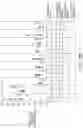 Fig. 41 - Absorbent article with a fluid entangled body facing material including a plurality of projections