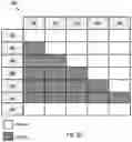 Fig. 13 - COMPRESSION THERAPY DEVICE AND COMPRESSION THERAPY PROTOCOLS