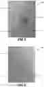 Fig. 04 - Colloidal silver combined with plant extracts for use in treating wounds and other skin conditions