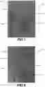 Fig. 05 - Colloidal silver combined with plant extracts for use in treating wounds and other skin conditions