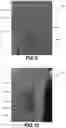 Fig. 06 - Colloidal silver combined with plant extracts for use in treating wounds and other skin conditions