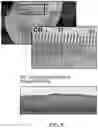 Fig. 08 - METHODS AND MATERIALS FOR REDUCING SCAR FORMATION DURING WOUND HEALING