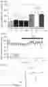 Fig. 04 - Composition for preventing or treating neurological and mental disorders, containing syringaresinol