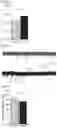 Fig. 16 - Composition for preventing or treating neurological and mental disorders, containing syringaresinol