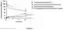 Fig. 04 - Compound having anticancer activity and preparation method and application
