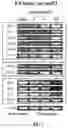 Fig. 04 - Methods of treating inflammatory bowel disease with AMD3100 and Tacrolimus