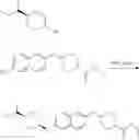 Fig. 100 - S1P modulating agents