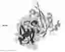 Fig. 01 - Methods of inhibiting viruses using compositions targeting TSG101-ubiquitin interaction
