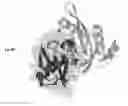 Fig. 02 - Methods of inhibiting viruses using compositions targeting TSG101-ubiquitin interaction