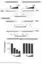 Fig. 14 - Methods of inhibiting viruses using compositions targeting TSG101-ubiquitin interaction
