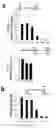 Fig. 25 - Methods of inhibiting viruses using compositions targeting TSG101-ubiquitin interaction