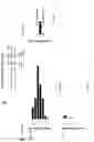 Fig. 28 - Methods of inhibiting viruses using compositions targeting TSG101-ubiquitin interaction
