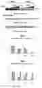 Fig. 29 - Methods of inhibiting viruses using compositions targeting TSG101-ubiquitin interaction