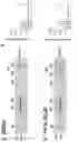 Fig. 32 - Methods of inhibiting viruses using compositions targeting TSG101-ubiquitin interaction