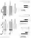 Fig. 40 - Methods of inhibiting viruses using compositions targeting TSG101-ubiquitin interaction