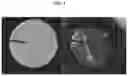 Fig. 02 - TOPICAL COMPOSITIONS AND METHODS OF PREPARATION AND USE